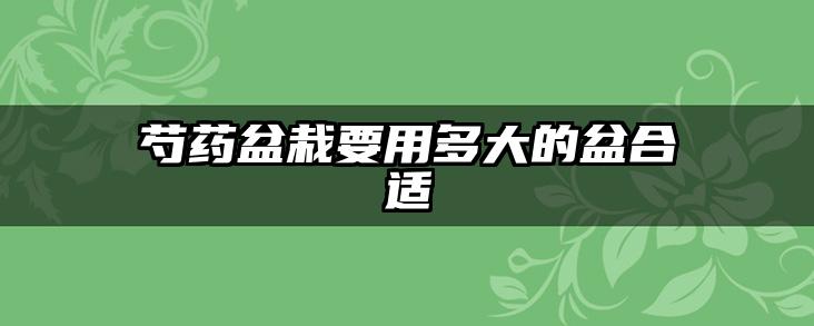 芍药盆栽要用多大的盆合适