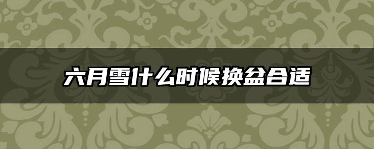 六月雪什么时候换盆合适