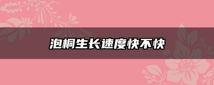 泡桐生长速度快不快