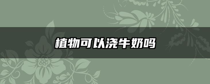 植物可以浇牛奶吗