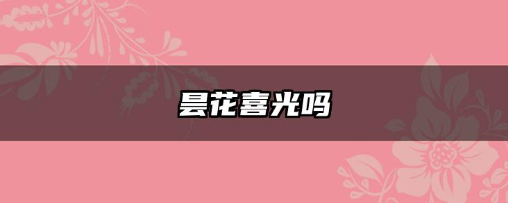 昙花喜光吗