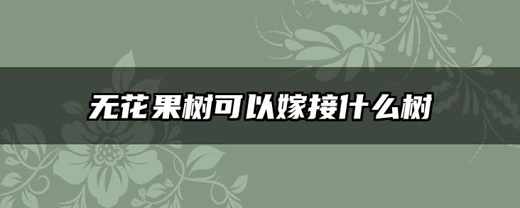 无花果树可以嫁接什么树