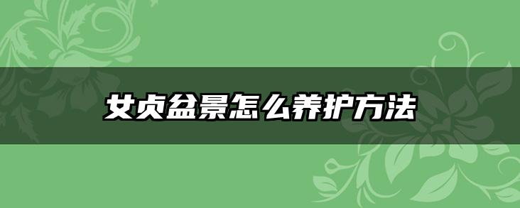 女贞盆景怎么养护方法