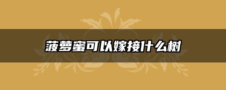 菠萝蜜可以嫁接什么树