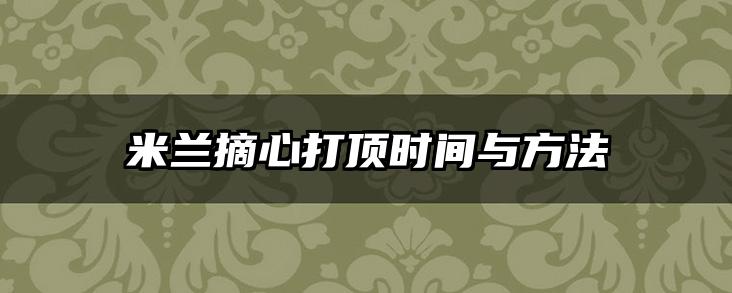 米兰摘心打顶时间与方法