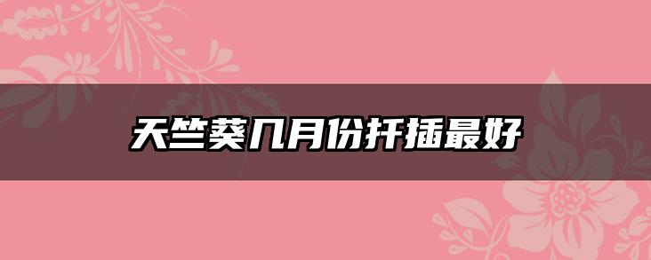 天竺葵几月份扦插最好