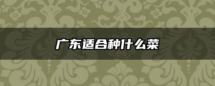 广东适合种什么菜