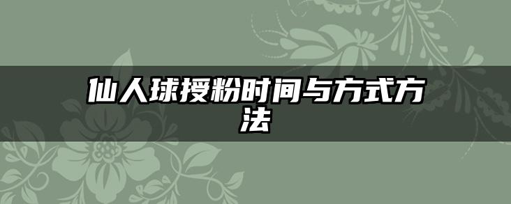 仙人球授粉时间与方式方法