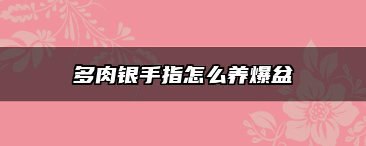 多肉银手指怎么养爆盆