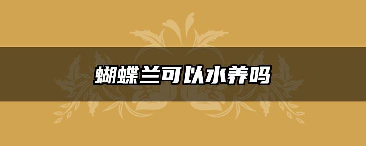 蝴蝶兰可以水养吗