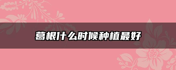 葛根什么时候种植最好