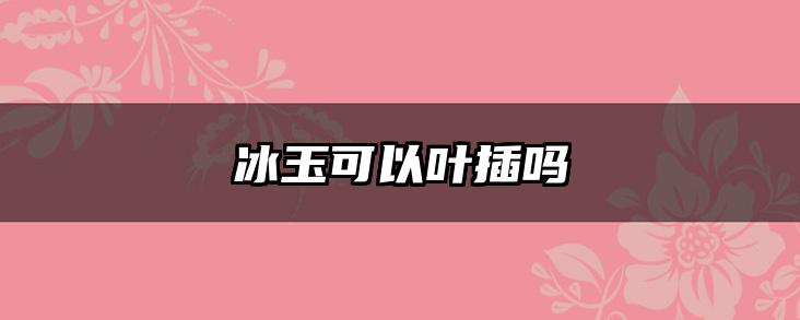 冰玉可以叶插吗