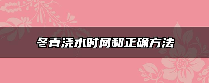 冬青浇水时间和正确方法