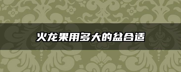 火龙果用多大的盆合适