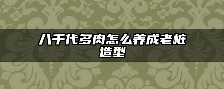 八千代多肉怎么养成老桩造型