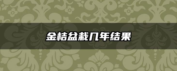 金桔盆栽几年结果