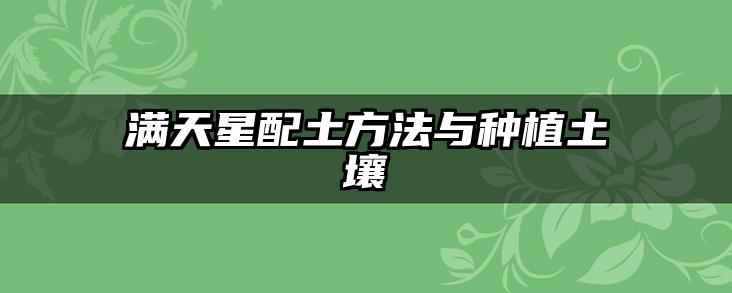 满天星配土方法与种植土壤