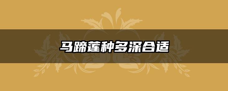 马蹄莲种多深合适