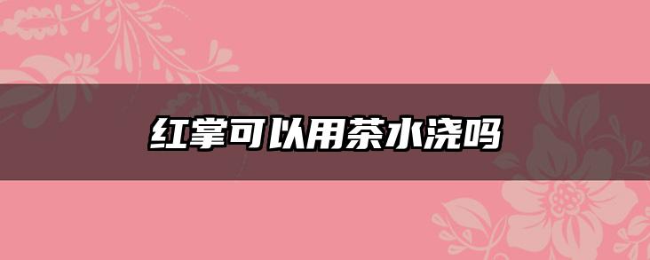 红掌可以用茶水浇吗