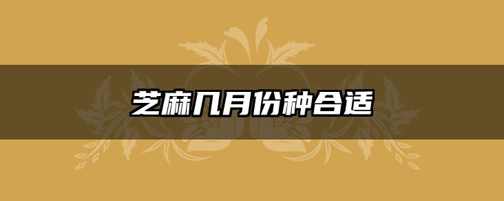 芝麻几月份种合适