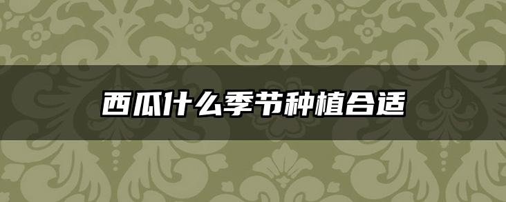 西瓜什么季节种植合适