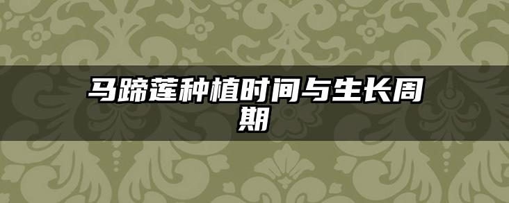 马蹄莲种植时间与生长周期