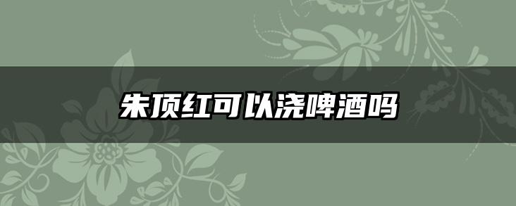朱顶红可以浇啤酒吗