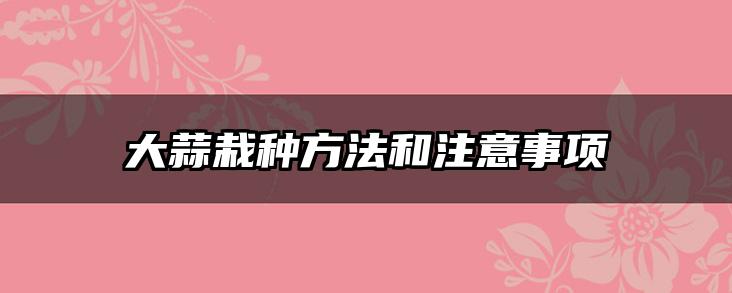 大蒜栽种方法和注意事项