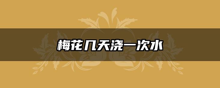 梅花几天浇一次水
