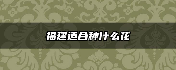 福建适合种什么花
