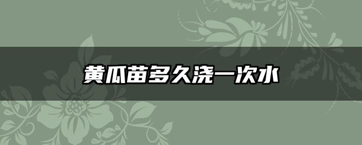 黄瓜苗多久浇一次水