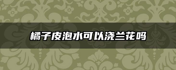 橘子皮泡水可以浇兰花吗