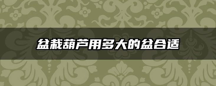 盆栽葫芦用多大的盆合适