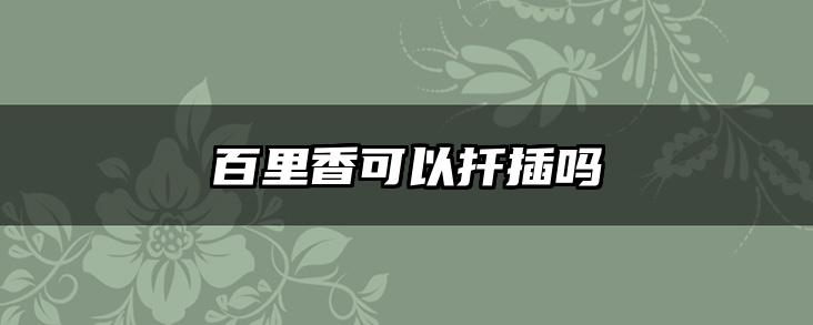 百里香可以扦插吗