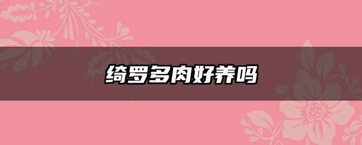 绮罗多肉好养吗