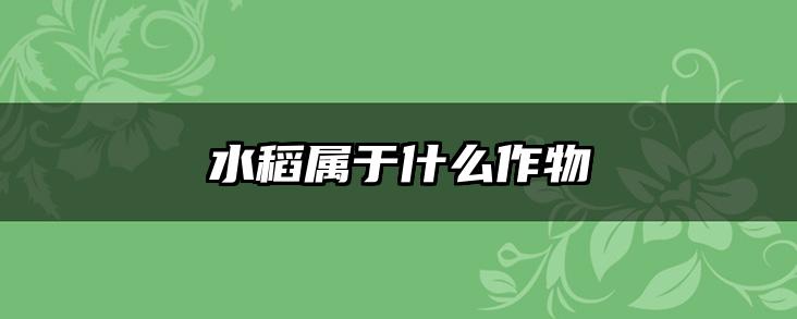 水稻属于什么作物