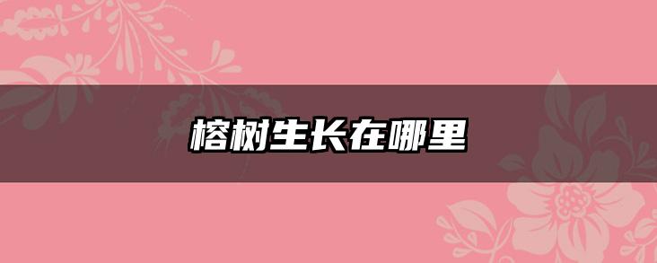 榕树生长在哪里
