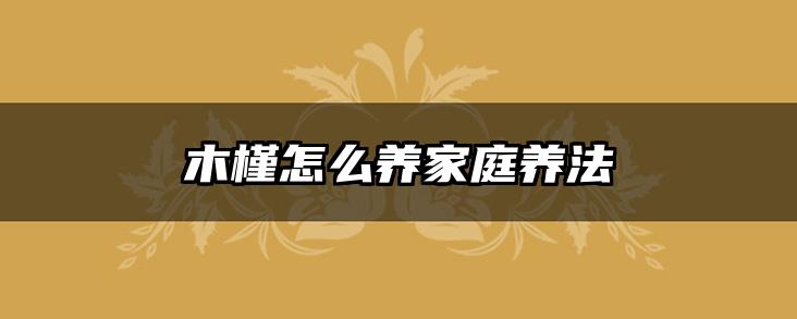 木槿怎么养家庭养法