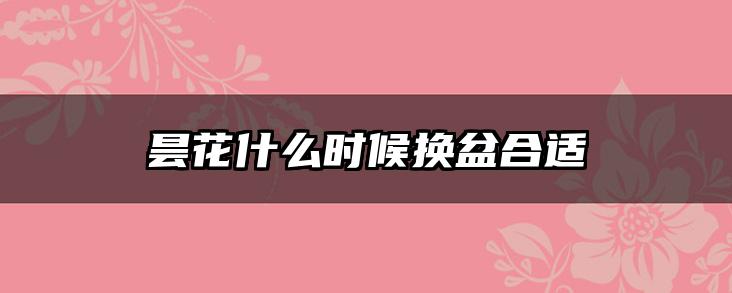 昙花什么时候换盆合适