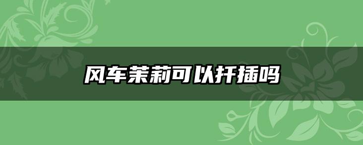 风车茉莉可以扦插吗