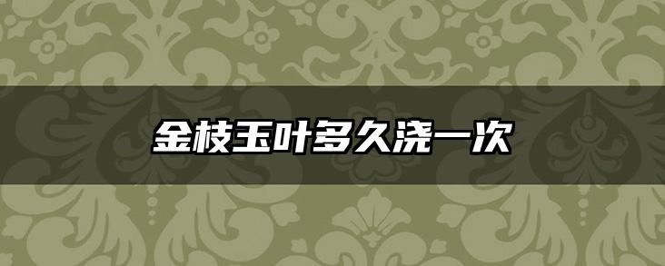 金枝玉叶多久浇一次