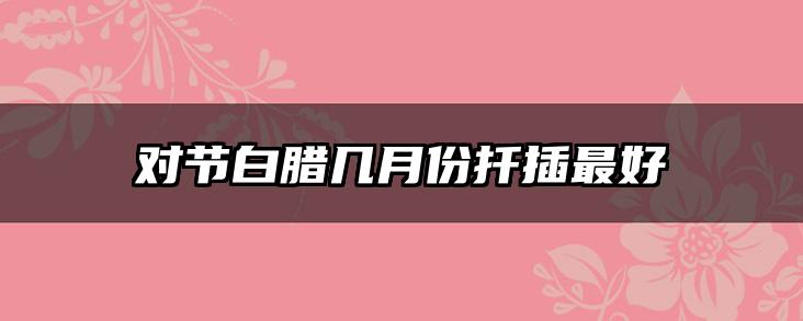 对节白腊几月份扦插最好
