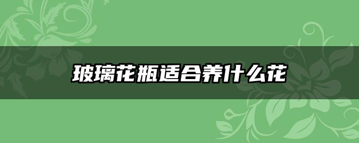 玻璃花瓶适合养什么花