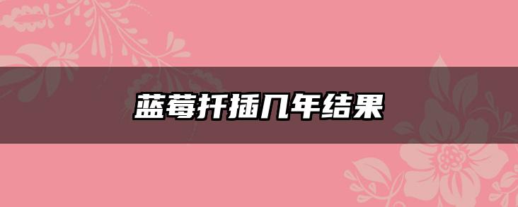 蓝莓扦插几年结果