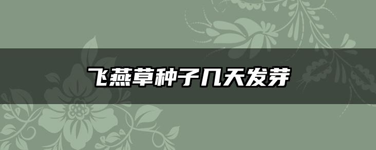 飞燕草种子几天发芽