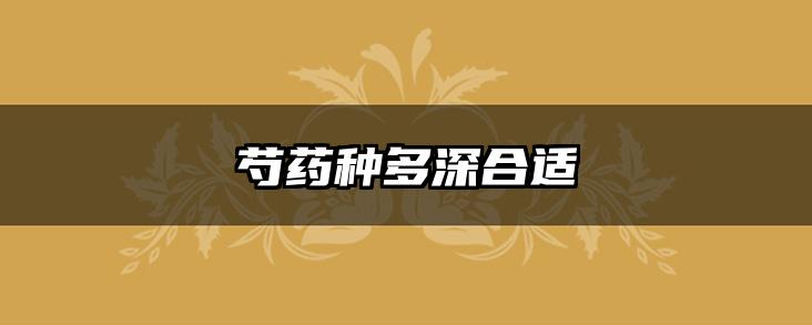 芍药种多深合适