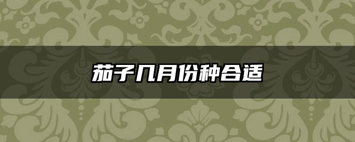 茄子几月份种合适