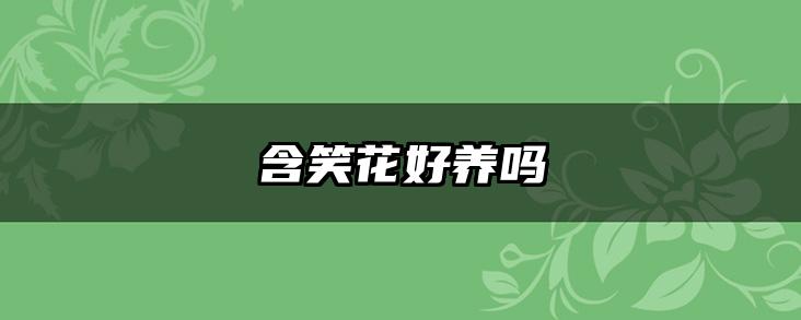 含笑花好养吗