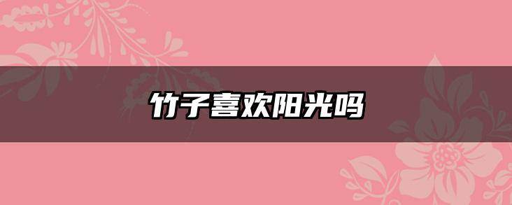 竹子喜欢阳光吗