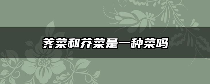 荠菜和芥菜是一种菜吗